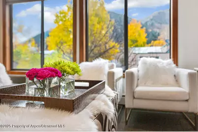 725 E Main Street #309, Aspen, CO 81611 - Photo 4