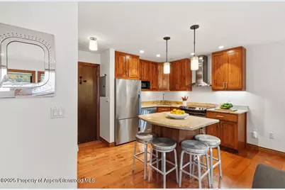 725 E Main Street #309, Aspen, CO 81611 - Photo 14