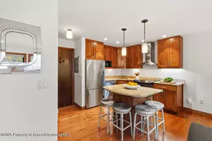725 E Main St, Aspen, CO 81611 - Photo 14