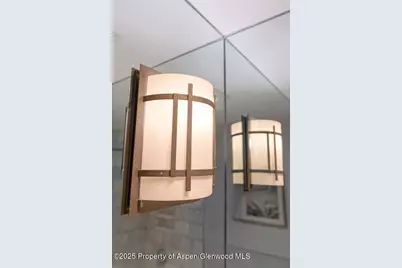 725 E Main Street #309, Aspen, CO 81611 - Photo 28