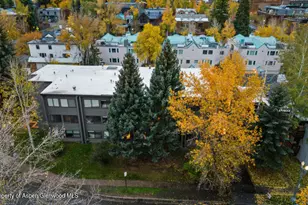 725 E Main St, Aspen, CO 81611 - Photo 38