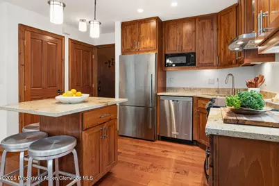 725 E Main Street #309, Aspen, CO 81611 - Photo 16