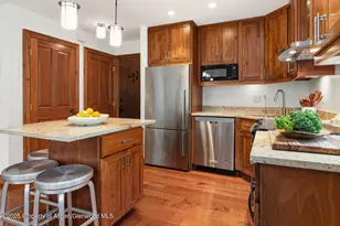 725 E Main St, Aspen, CO 81611 - Photo 16