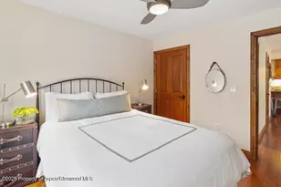 725 E Main St, Aspen, CO 81611 - Photo 30