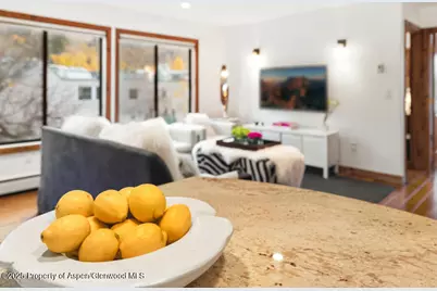 725 E Main Street #309, Aspen, CO 81611 - Photo 22