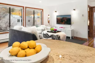 725 E Main St, Aspen, CO 81611 - Photo 22