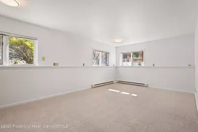 1120 Dale Avenue, Aspen, CO 81611 - Photo 28