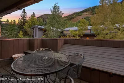 650 S Monarch Street #Unit 4, Aspen, CO 81611 - Photo 20