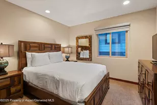 650 S Monarch St, Aspen, CO 81611 - Photo 28