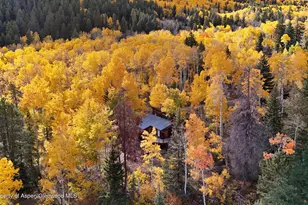 1315 Ruedi Creek Rd, Basalt, CO 81621 - Photo 38