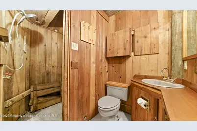 1315 Ruedi Creek Road, Basalt, CO 81621 - Photo 26