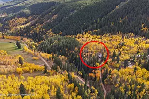 1315 Ruedi Creek Rd, Basalt, CO 81621 - Photo 40