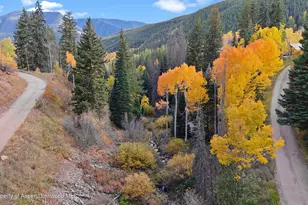 1315 Ruedi Creek Rd, Basalt, CO 81621 - Photo 42