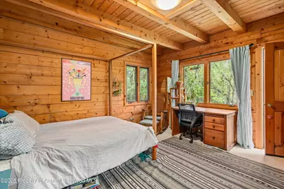 166 Ute Trail, Carbondale, CO 81623 - Photo 34