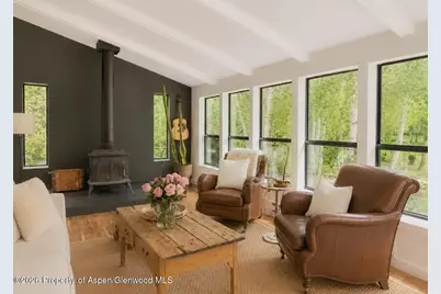 61 Davidson Lane, Snowmass, CO 81654 - Photo 4