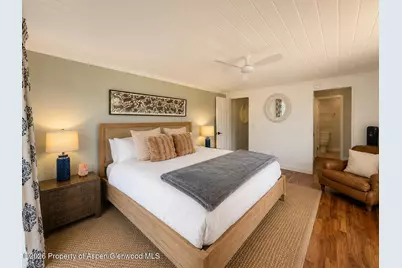 61 Davidson Lane, Snowmass, CO 81654 - Photo 10