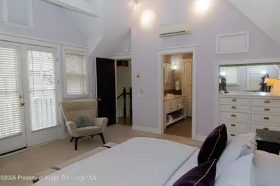 229 W Hallam Street, Aspen, CO 81611 - Photo 20