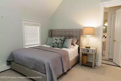 229 W Hallam Street, Aspen, CO 81611 - Photo 28