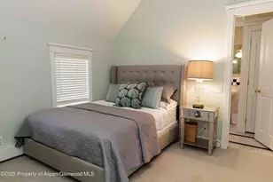 229 W Hallam St, Aspen, CO 81611 - Photo 28