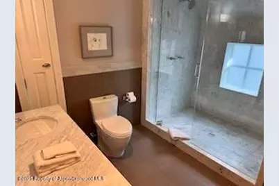 229 W Hallam Street, Aspen, CO 81611 - Photo 22