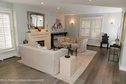 229 W Hallam Street, Aspen, CO 81611 - Photo 10