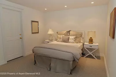 229 W Hallam Street, Aspen, CO 81611 - Photo 24