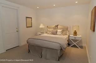 229 W Hallam St, Aspen, CO 81611 - Photo 24