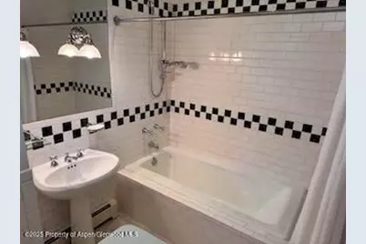 229 W Hallam Street, Aspen, CO 81611 - Photo 26