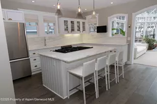 229 W Hallam St, Aspen, CO 81611 - Photo 14