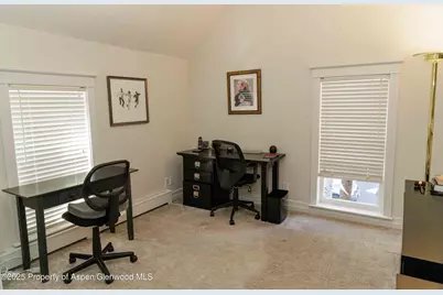 229 W Hallam Street, Aspen, CO 81611 - Photo 30