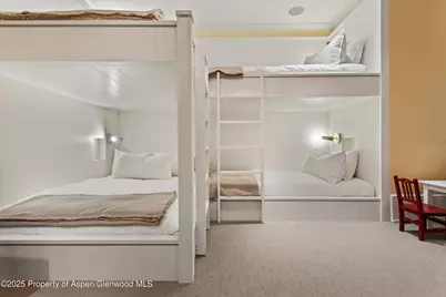 304 S Garmisch Street, Aspen, CO 81611 - Photo 30