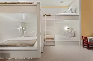 304 S Garmisch St, Aspen, CO 81611 - Photo 30