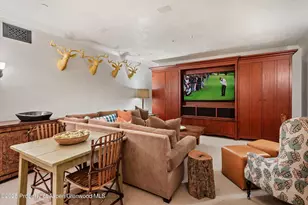 304 S Garmisch St, Aspen, CO 81611 - Photo 28