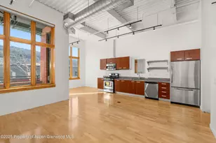 231 Robinson St, Basalt, CO 81621 - Photo 4