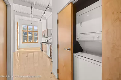 231 Robinson Street #226, Basalt, CO 81621 - Photo 8