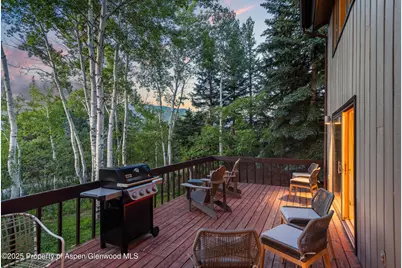 28 Larkspur Lane, Aspen, CO 81611 - Photo 30