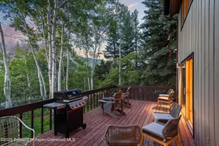 28 Larkspur Ln, Aspen, CO 81611 - Photo 30