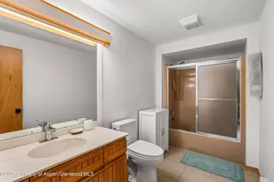 28 Larkspur Ln, Aspen, CO 81611 - Photo 28