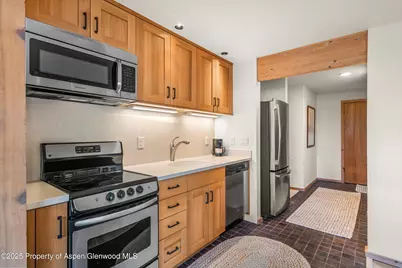 28 Larkspur Lane, Aspen, CO 81611 - Photo 26