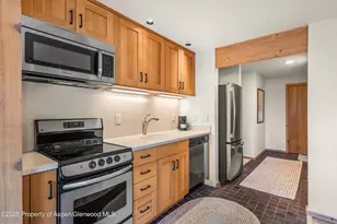 28 Larkspur Ln, Aspen, CO 81611 - Photo 26