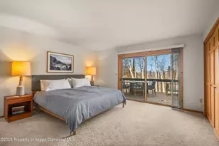 28 Larkspur Ln, Aspen, CO 81611 - Photo 16