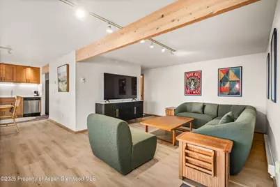 28 Larkspur Lane, Aspen, CO 81611 - Photo 24