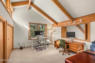 28 Larkspur Ln, Aspen, CO 81611 - Photo 18