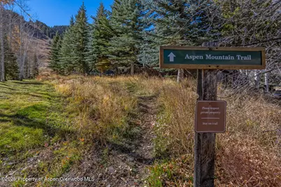 650 S Monarch Street #Unit 7, Aspen, CO 81611 - Photo 44