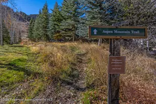 650 S Monarch St, Aspen, CO 81611 - Photo 44