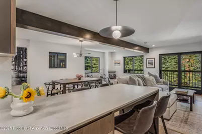 650 S Monarch Street #Unit 7, Aspen, CO 81611 - Photo 12