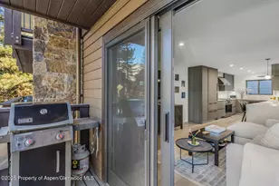 650 S Monarch St, Aspen, CO 81611 - Photo 14