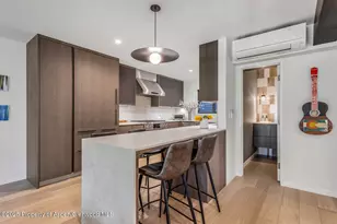 650 S Monarch St, Aspen, CO 81611 - Photo 10