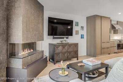 650 S Monarch Street #Unit 7, Aspen, CO 81611 - Photo 2