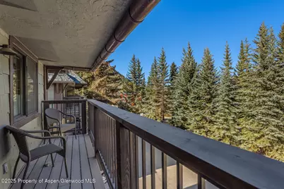 650 S Monarch Street #Unit 7, Aspen, CO 81611 - Photo 22